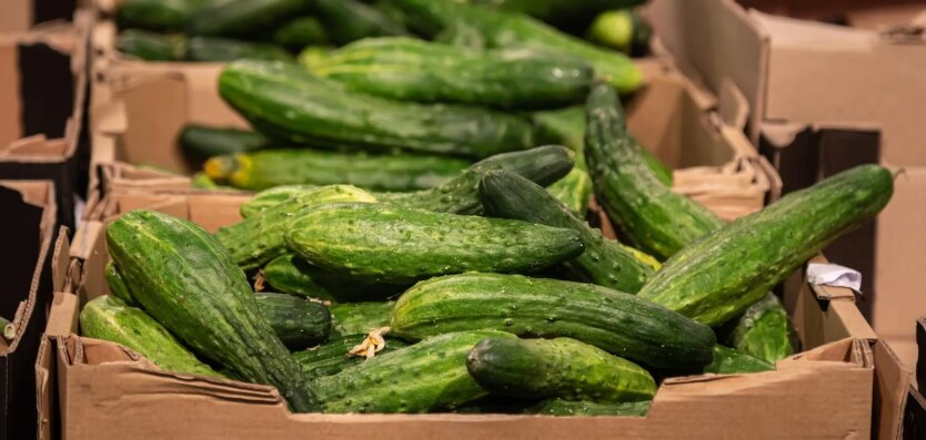 Prices for cucumbers and tomatoes have increased