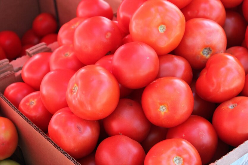 Bereits 170 Hrywnja pro Kilo: Ukrainern wurden exorbitante Preise für Gurken und Tomaten im Dezember gezeigt