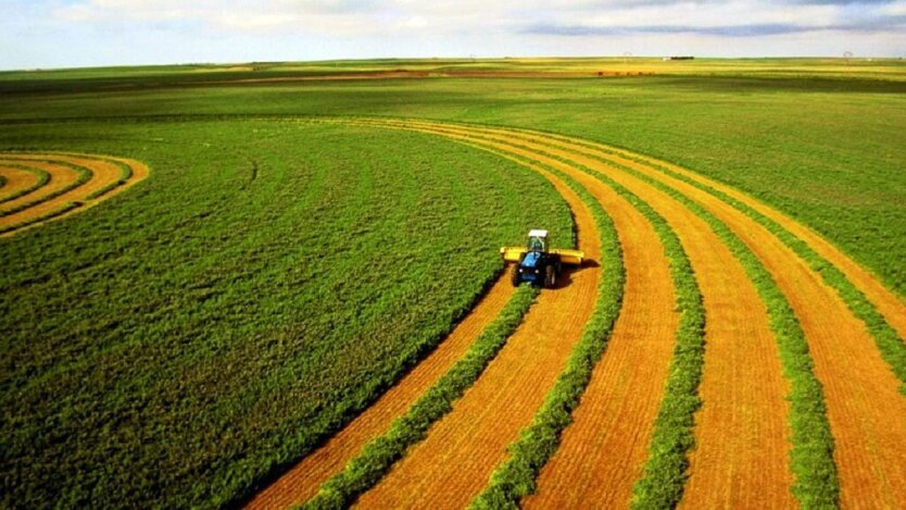 Der Preis des Landes im Jahr 2025: Wie viel die Ukrainer für einen Hektar bezahlen werden