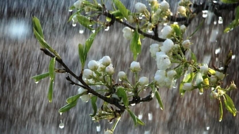 Wet summer with dangerous thunderstorms