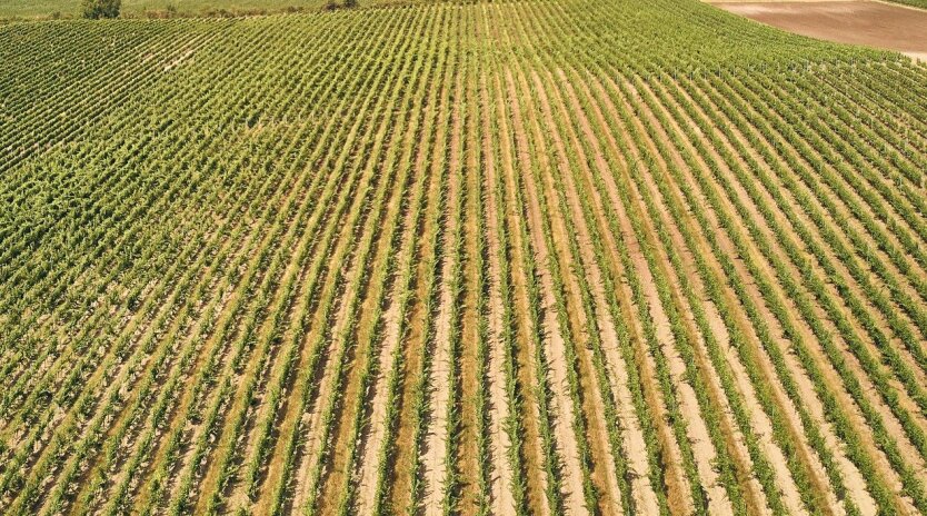 Die оформлення des Erbes: Was Sie über landwirtschaftliche Pachts auf dem Land wissen müssen