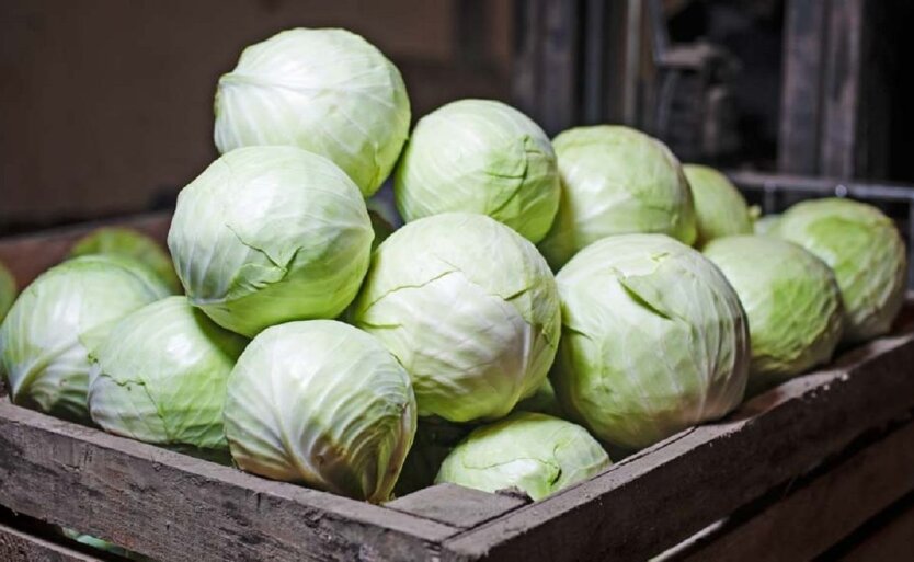 Cabbage in the Ukrainian vegetable market