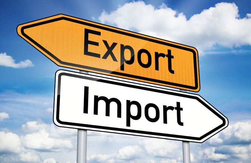 Ukraine reduced goods exports in January