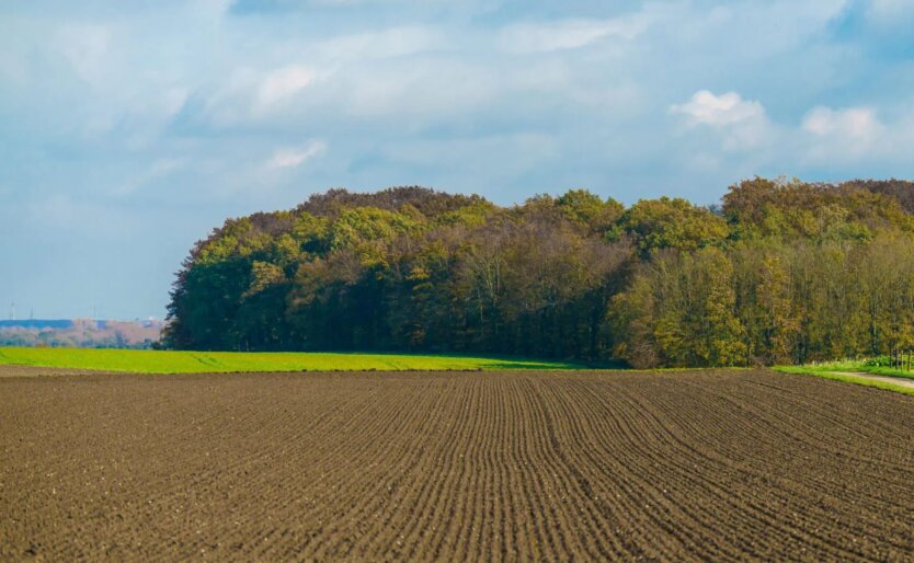 Image of devastation and emptiness in agricultural lands