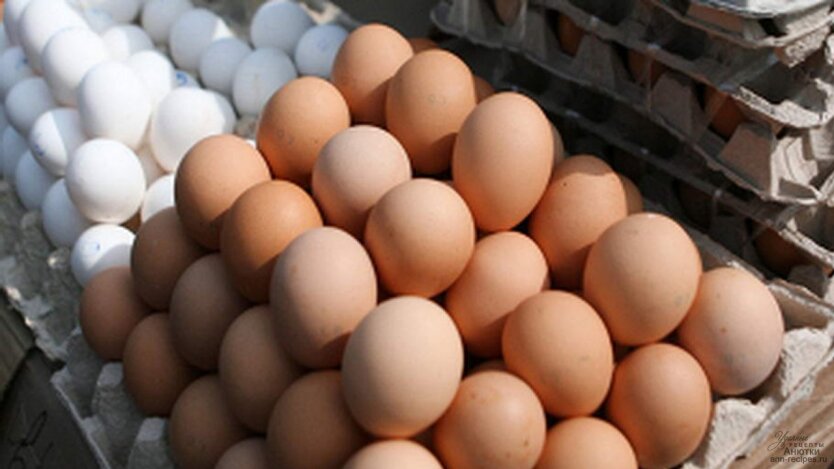 Price Reduction on Eggs in Supermarkets