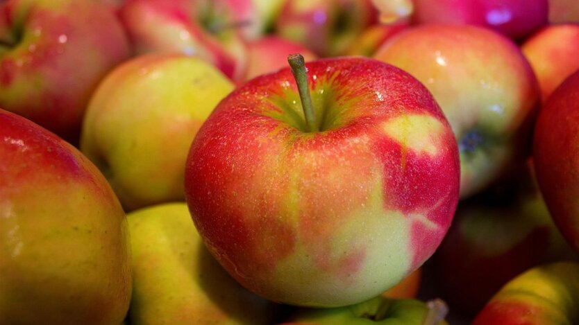Prices for apples and grapes have risen