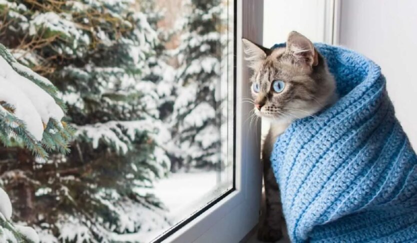 Starker Temperaturabfall und Gerüchte über einen Hurrikan: Meteorologin Didenko erklärte, was das Wetter bringt